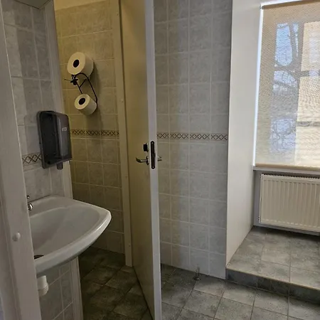 Rogosi Moisa 3*