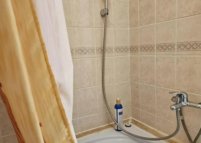 Rogosi Moisa Ruusmae